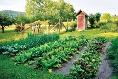 Make Your Farm or Garden Certified Sustainable Image